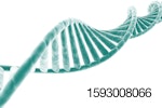 DNA strand on white