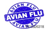 Avian-influenza-France
