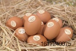 Cage-free-eggs-CP