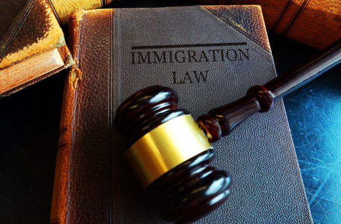 immigration-law-book