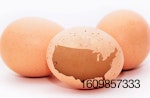 egg-US-map