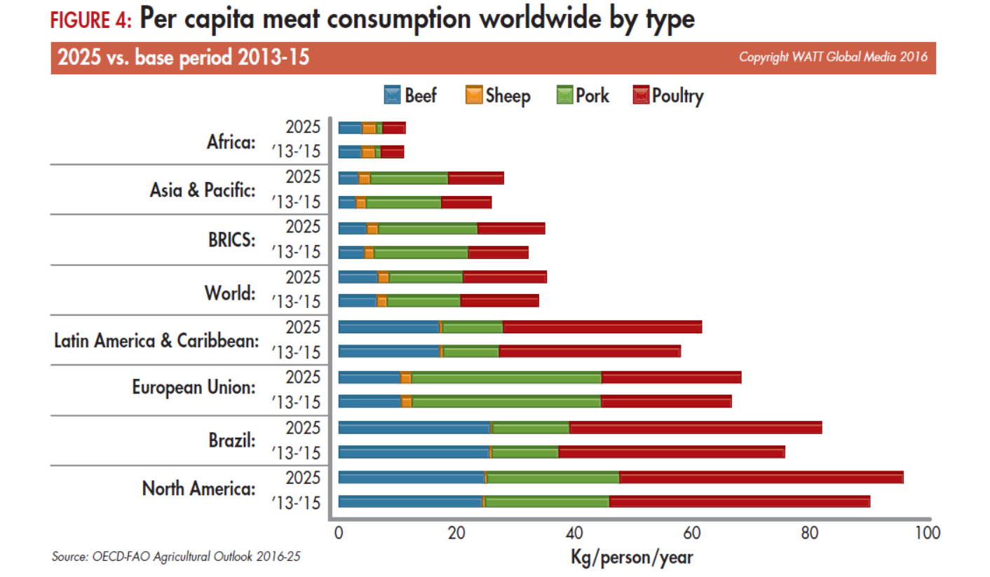 Hysterical collateral meet Per capita meat consumption worldwide by type | WATTPoultry