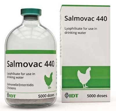 IDT Biologika Salmovac 440 Salmonella vaccine for chickens