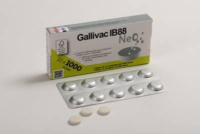 Merial Gallivac IB88 NeO vaccination tablets