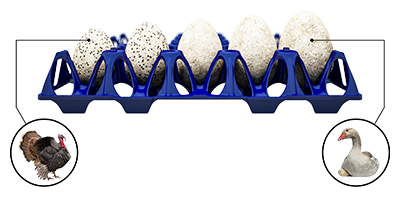 Twinpack EggsCargoSystem XXL tray