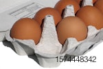 eggs carton