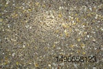 layer pellets and mixed grains