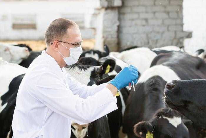Disease control: A new role for animal feed additives? | WATTAgNet | WATTPoultry