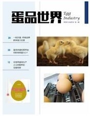 Egg Industry China