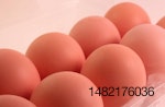 Cage-free egg