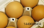 Grupo Bimbo eggs