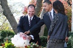 Obama National Thanksgiving Turkey