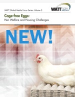 Cage-free eggs: Hen Welfare and Housing Challenges