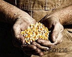 Drought-corn-farmer-1211FIglobal1.jpg