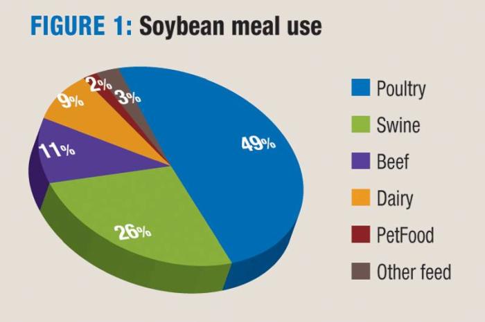Soybean-use-by-species-1405FMIngredients2.jpg