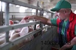 Farmer wearing a hat and vest feeding pigs