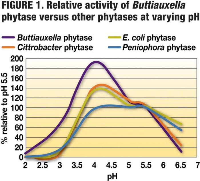 Buttiauxella-phytase-activity-1401FMAdditives1.jpg