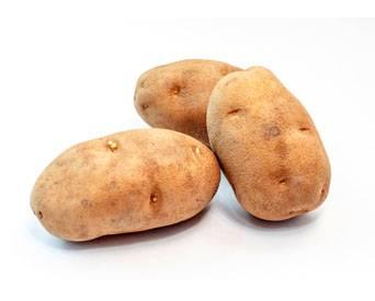 potato-protein-1411PIGvaline