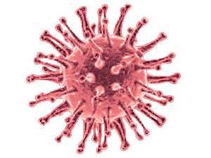 h5n1-virus
