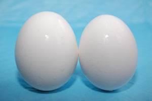 1106EIfat2.JPG large-eggs