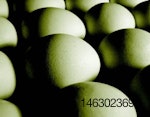 dreamstime_3841-eggs_opt.jpg