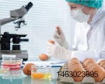 Egg-Testing-Salmonella-1506EIcentrum.jpg