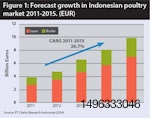 Chart of Indonesian poultry market growth 