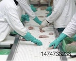 processing-line-1504PIpoultryprocessing1.jpg