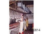 Hanging-area-1307PIpoultryprocessing1.jpg