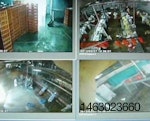 video-monitoring-1506PIpoultryprocessing1.jpg