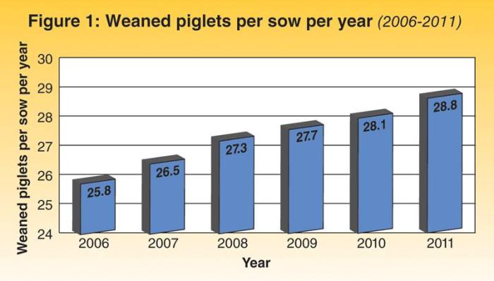 Piglets-per-sow-1301PIGpigfeed1