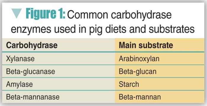 Pig-diet-1311PIGcarbohydrasespigfeedTable1