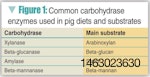 Pig-diet-1311PIGcarbohydrasespigfeedTable1