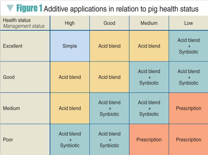 Pig-feed-additives-1305PIGpigfeedadditives1