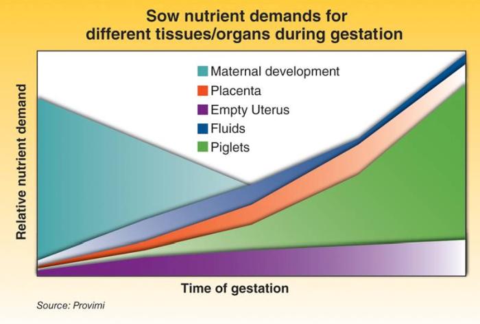 Sow-nutrient-demands-1301PIGsownutrition1