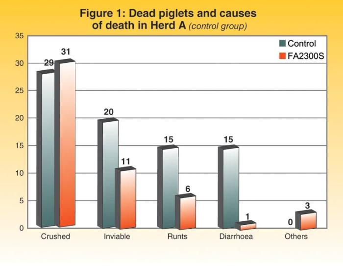 Piglet-mortality-causes-1211PIGsowhealth1
