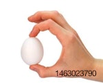 shell-egg-1401EIisu