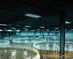 bell-aquaculture-tanks-1412FISustainability1.jpg