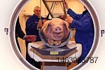 CT-scannning-pig-1303PIGgenetics1
