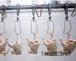 poultry-processing-1504PIpoultrymedia1.jpg
