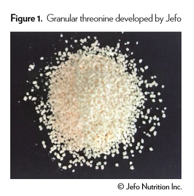 Native_Jefo_Granular Amino Acids