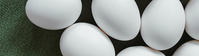 InstaPro white eggs