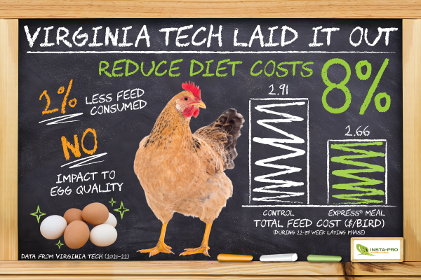 InstaPro Native chicken infographic