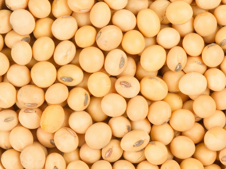 NATIVE SoymealOrg soybeans