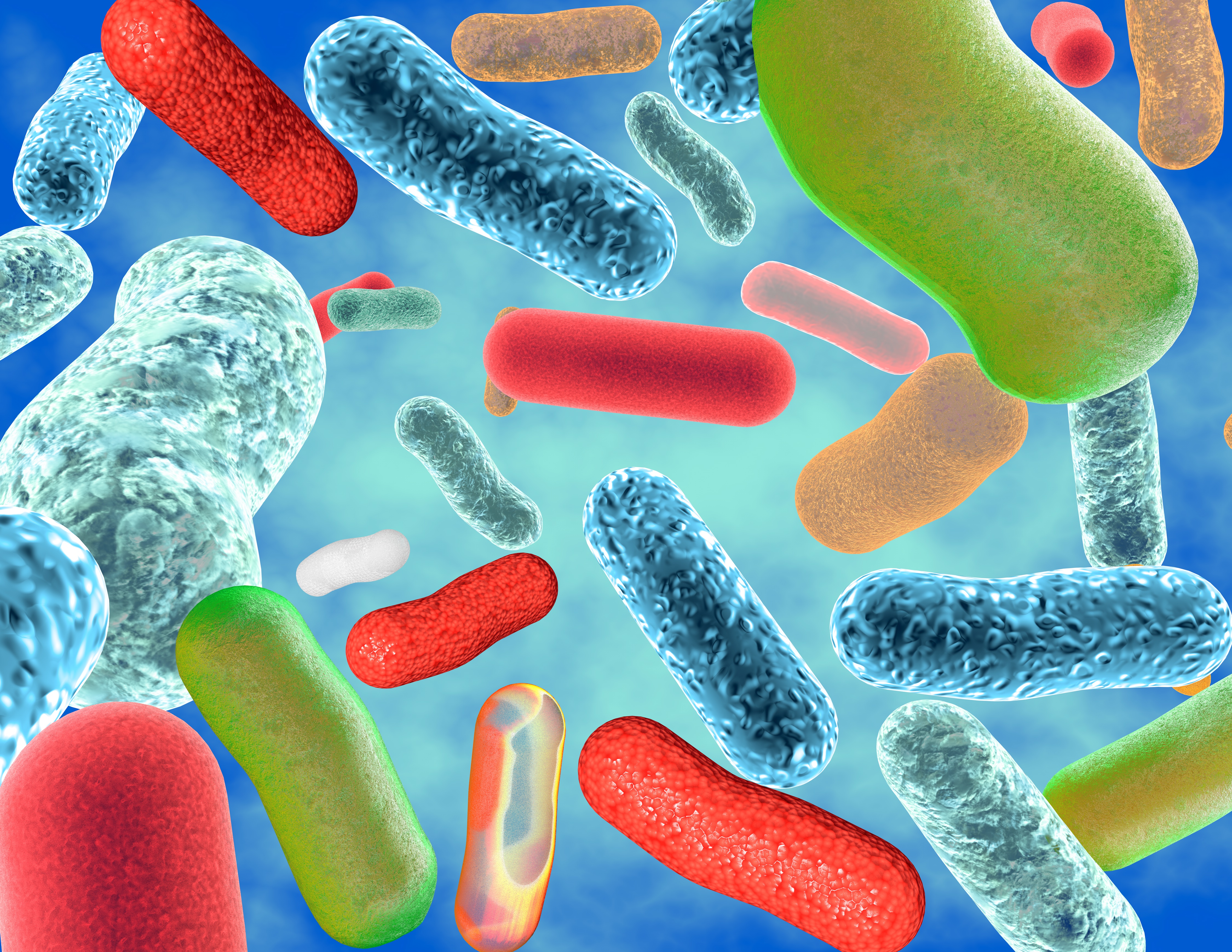 healthy gut microbacteria