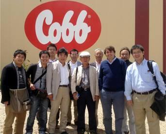 cobb-japanese-1307PInews