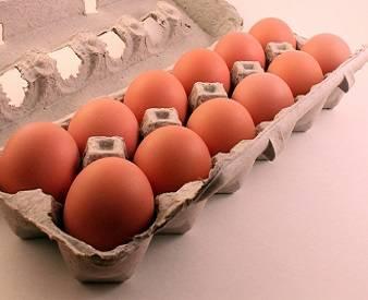 Dozen-brown-eggs-Andrea.jpg
