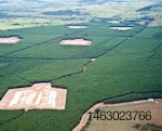 Brazilian-Farm-1507PIavianinfluenza1.jpg