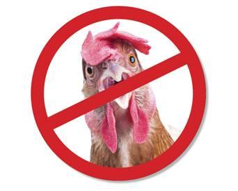 Avian influenza ban poultry shortage.jpg
