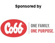 Cobb focus webinar logo